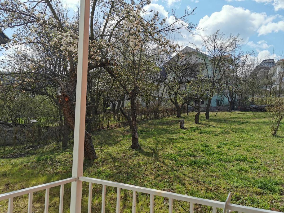 סוקו בניה Vila Breza מראה חיצוני תמונה